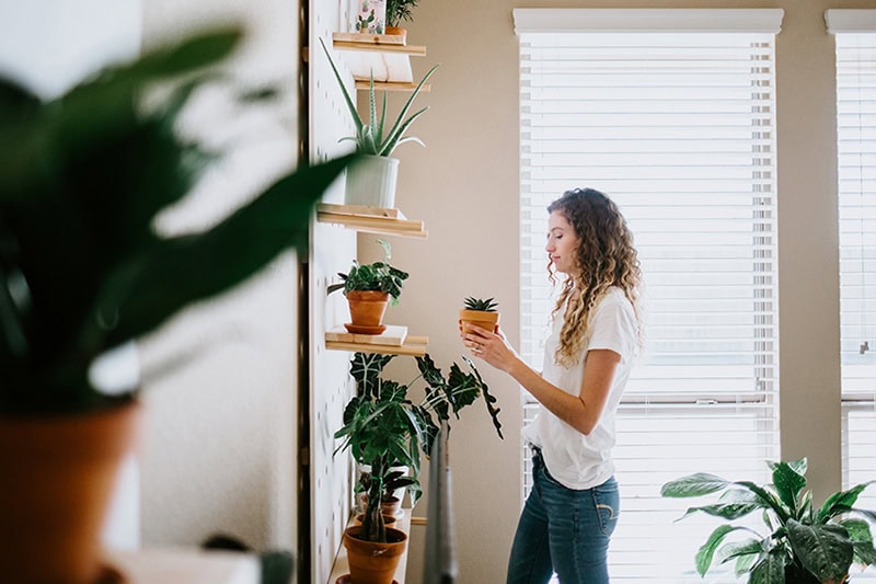Why Is My Home So Dusty? Photo of a woman in her home taking care of her plants.